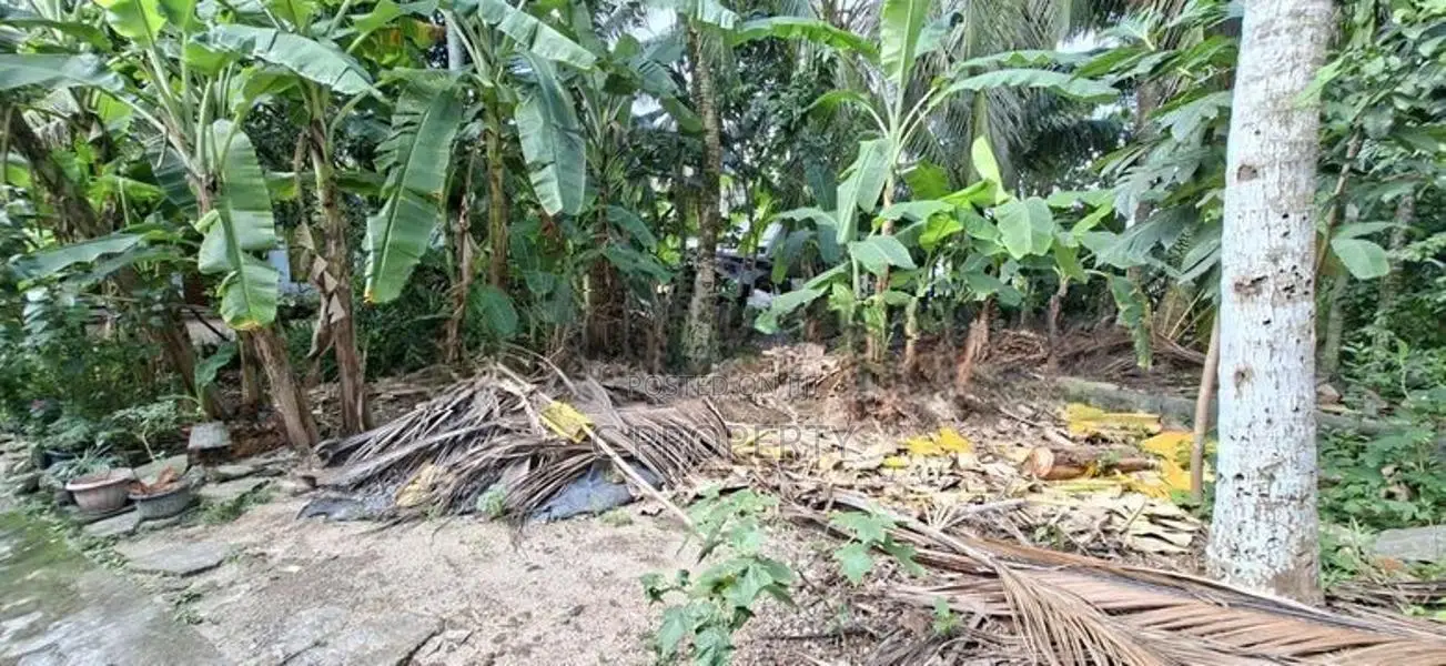 Land for Sale Boralesgamuwa Raththanapitiya