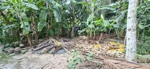 Land for Sale Boralesgamuwa Raththanapitiya