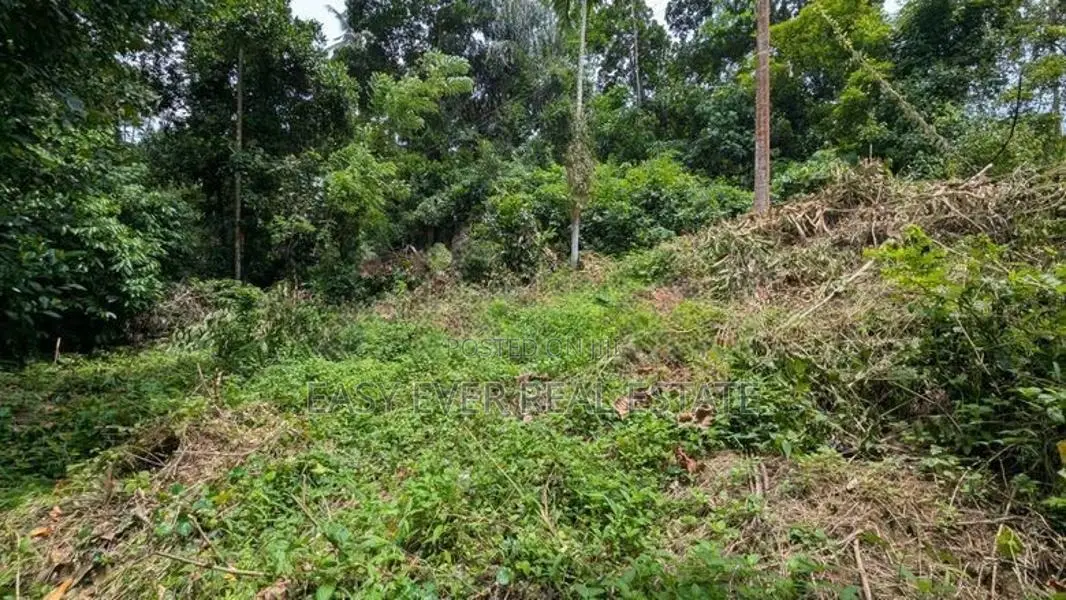 වරකාපොළ පර්චස් 21 / HS 15306