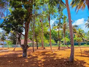 Beach Land for Sale Weligama