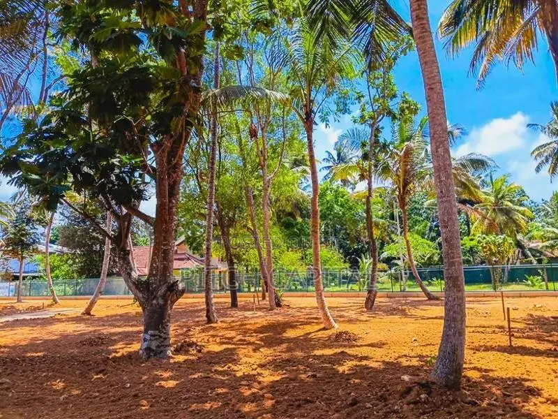 Beach Land for Sale Weligama