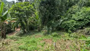 වරකාපොළ පර්චස් 21 / HS 15306