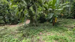 වරකාපොළ පර්චස් 21 / HS 15306