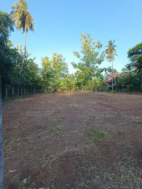 ඔබ සොයන ඉඩම අනුරාධපුර