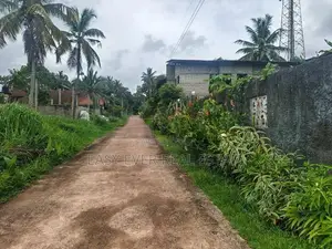 කීනවල Railway Station එකට ආසන්නයෙන් සුපිරි ඉඩමක් / UP 14566