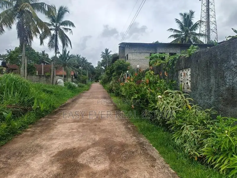 කීනවල Railway Station එකට ආසන්නයෙන් සුපිරි ඉඩමක් / UP 14566