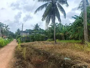 කීනවල Railway Station එකට ආසන්නයෙන් සුපිරි ඉඩමක් / UP 14566