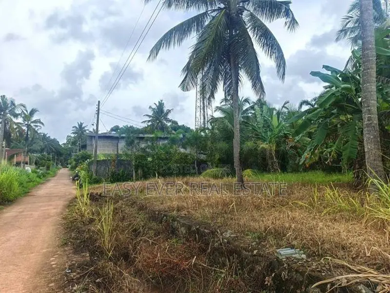 කීනවල Railway Station එකට ආසන්නයෙන් සුපිරි ඉඩමක් / UP 14566