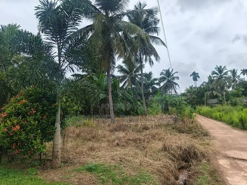 කීනවල Railway Station එකට ආසන්නයෙන් සුපිරි ඉඩමක් / UP 14566