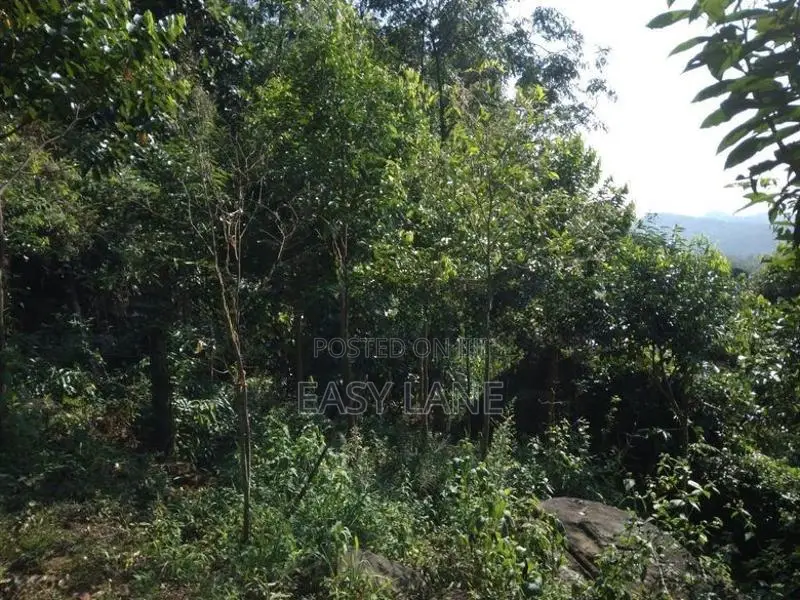 Bulathkohupitiya ‎අක්කර 1 ක ඉඩම / SA 14098