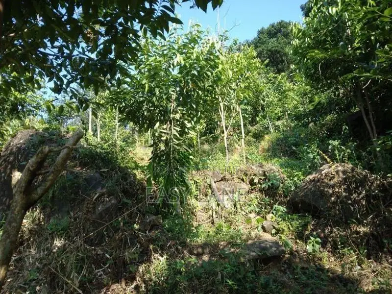 Bulathkohupitiya ‎අක්කර 1 ක ඉඩම / SA 14098