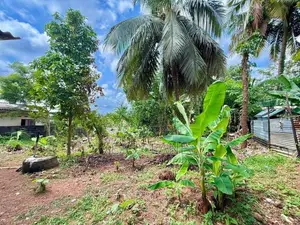 පිළියන්දල නිල්කමල් හන්දියෙන් පදිංචියට වටිනා සුපිරි ඉඩමක් / RU 13827