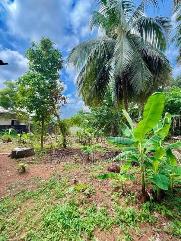 පිළියන්දල නිල්කමල් හන්දියෙන් පදිංචියට වටිනා සුපිරි ඉඩමක් / RU 13827