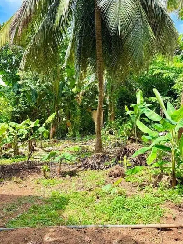 පිළියන්දල නිල්කමල් හන්දියෙන් පදිංචියට වටිනා සුපිරි ඉඩමක් / RU 13827