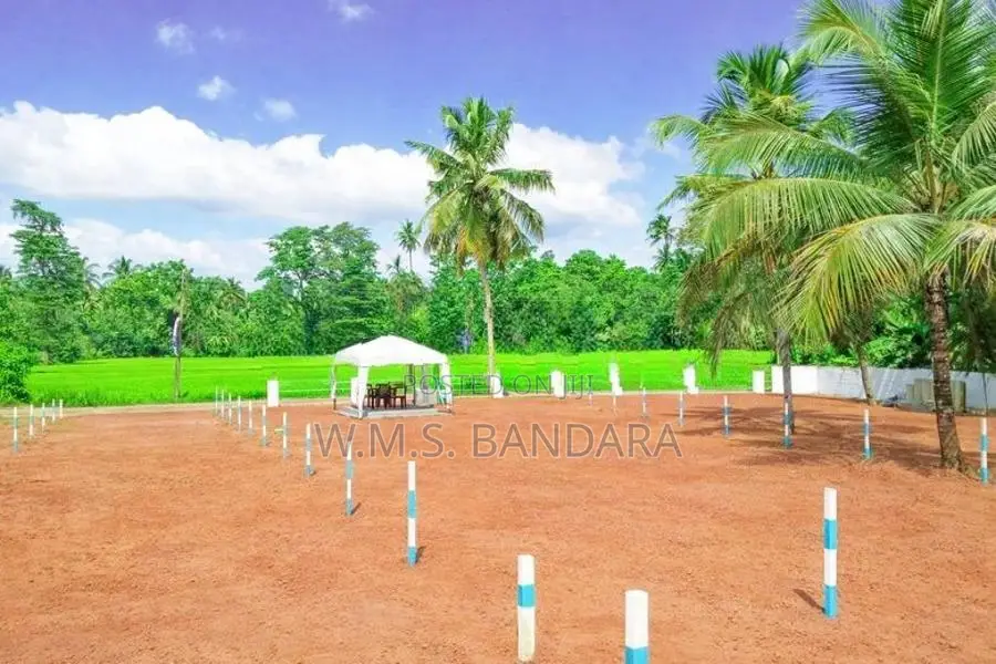 Dambadeniya Developed Residential Land for Sale P2