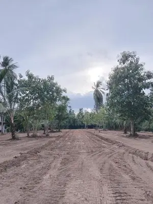 Land for Sale in Anuradapura