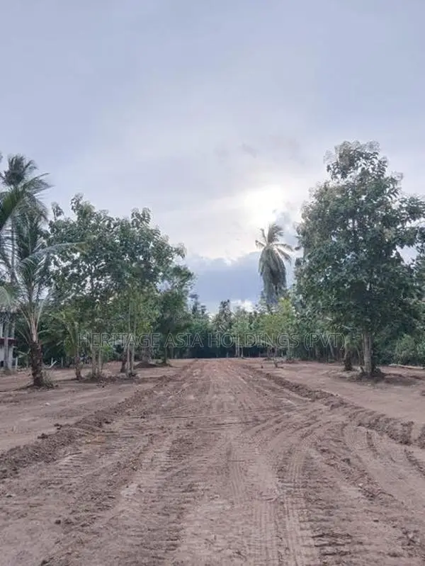 Land for Sale in Anuradapura
