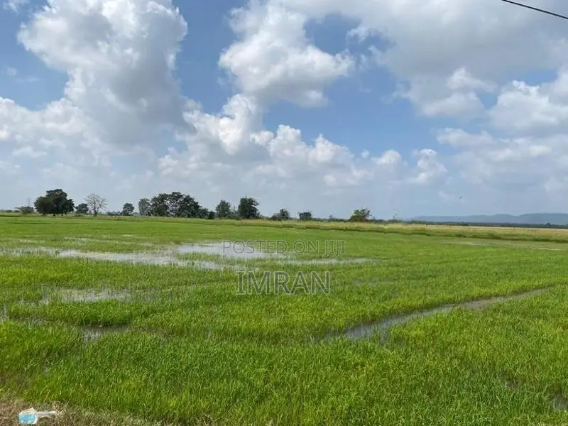 Padifield in Kantale