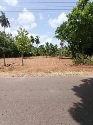අනුරාධපුර අශෝක විදූහලට ආසන්නව පර්චස් 10 බිම් කොටස්