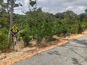 Land Plots in Ambalangoda