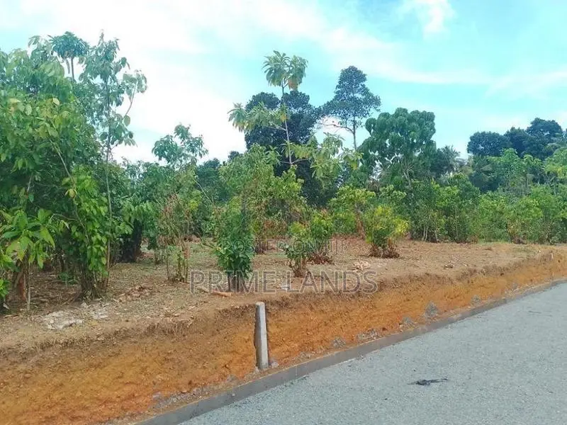 Land Plots in Aluthwala