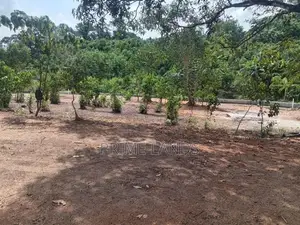 Land Plots in Ambalangoda
