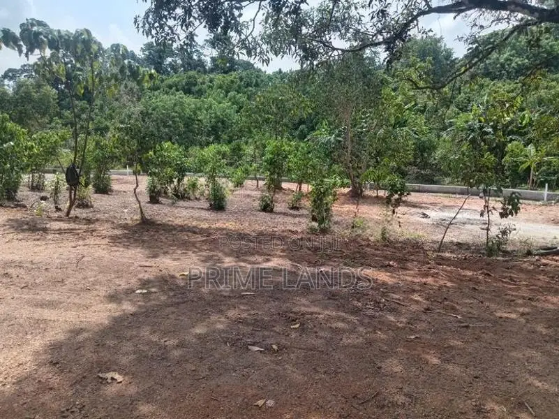 Land Plots in Ambalangoda