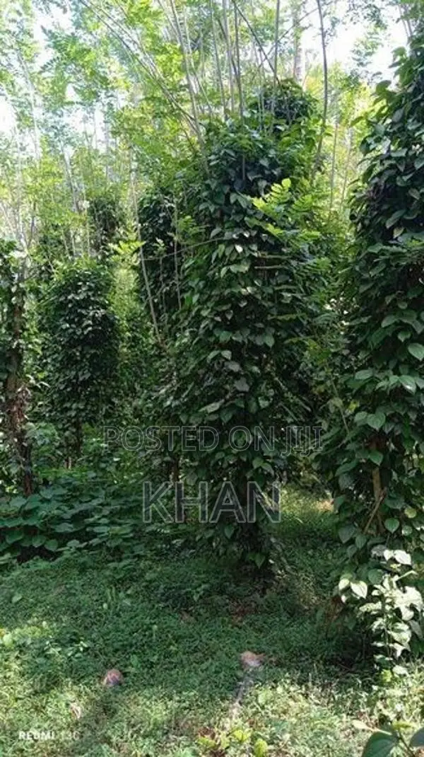 Land for Sale Matale