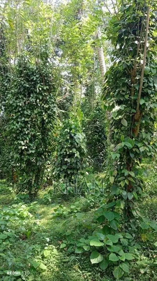 Land for Sale Matale