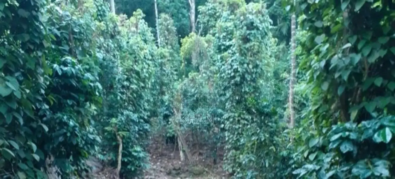 Land for Sale Matale