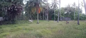 காணி விற்பதுக்கு பாசிக்குடா