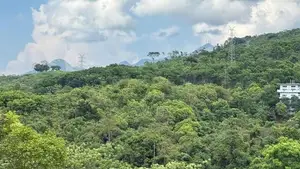 මාතලේ, පලාපත්වෙලින් වටිනා පර්චස් 22.5ක ඉඩමක් විකිණීමට