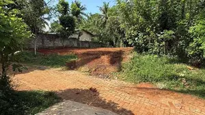 මාතලේ, පලාපත්වෙලින් වටිනා පර්චස් 22.5ක ඉඩමක් විකිණීමට