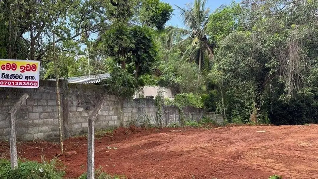 මාතලේ, පලාපත්වෙලින් වටිනා පර්චස් 22.5ක ඉඩමක් විකිණීමට