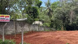 මාතලේ, පලාපත්වෙලින් වටිනා පර්චස් 22.5ක ඉඩමක් විකිණීමට