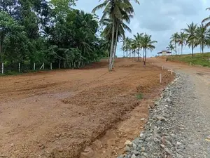 ඉඩම - වැලිපැන්න