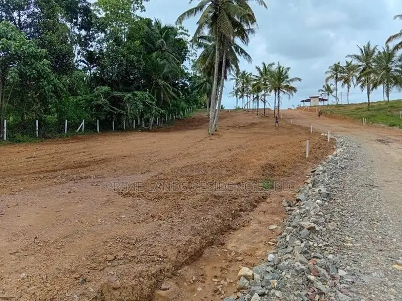 ඉඩම - වැලිපැන්න