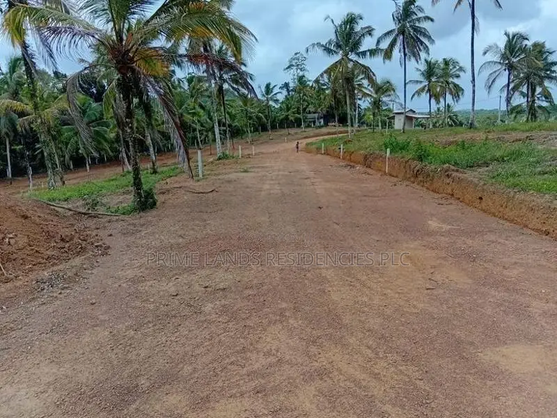 ඉඩම - වැලිපැන්න