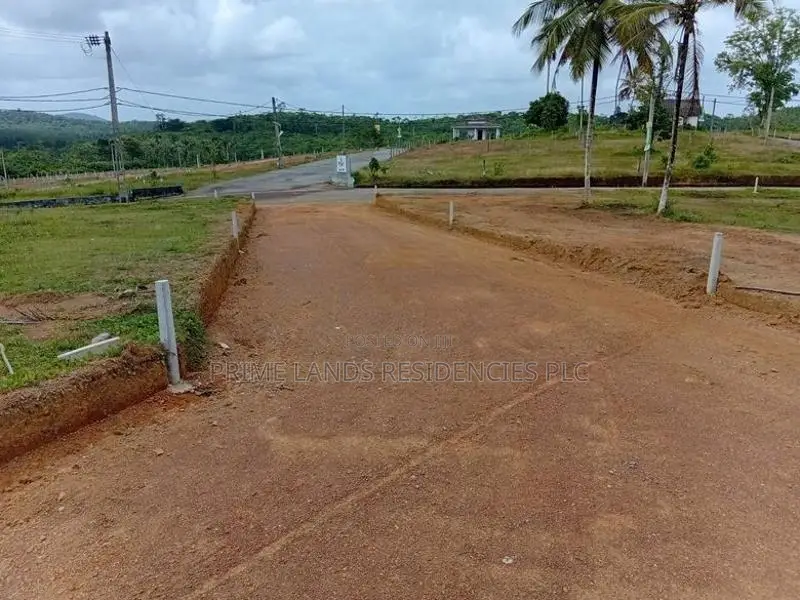 ඉඩම - වැලිපැන්න