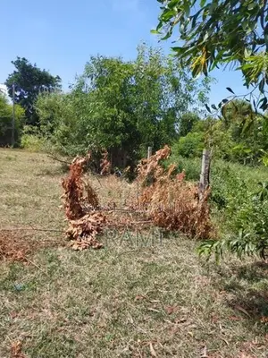 Land for Sale - Kammala