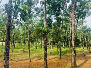 Land for Sale in Ballapitiya