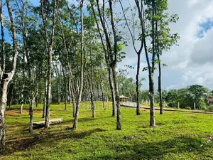 හොරන නගරයටළගින් නේවාසික බිම්කොටස්