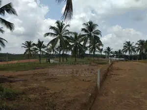 පදිංචියට නිස්කලංක බිම් කොටස්