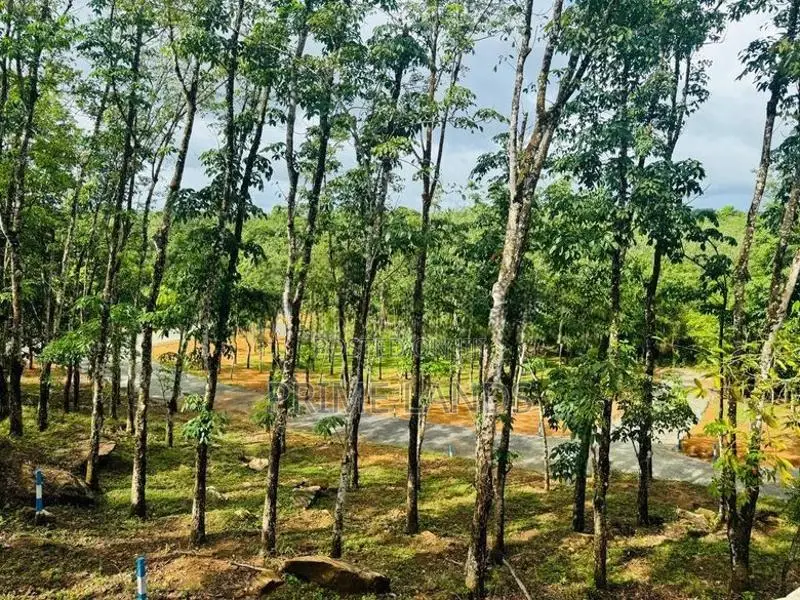 හොරන නගරයටළගින් නේවාසික බිම්කොටස්