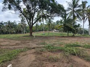 පදිංචියට නිස්කලංක බිම් කොටස්
