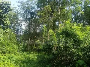 Commercial Property for Sale in Horana, Pokunuwita