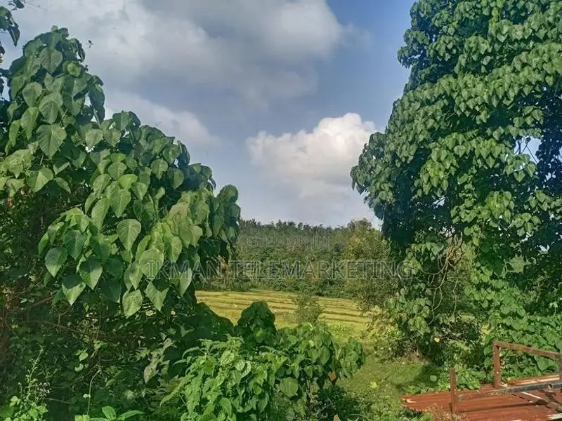 Commercial Property for Sale in Horana, Pokunuwita