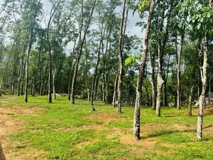 හොරන නගරයටළගින් නේවාසික බිම්කොටස්