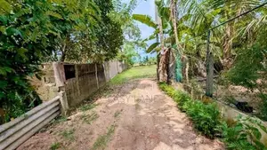 ගම්පහ – ඉඳිගොල්ලෙන් වටිනා බිම් කොටසක් විකිණීමට / KM 13828