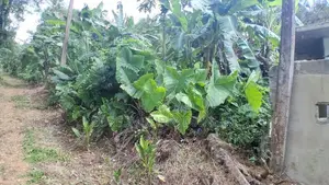 අගනා ඉඩමක් විකිණීමට හොරණ